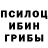 Псилоцибиновые грибы мухоморы Vladimir Pechagin