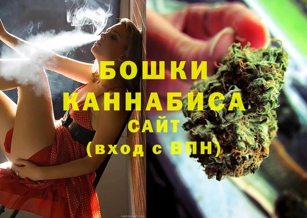 гидра Алексеевка