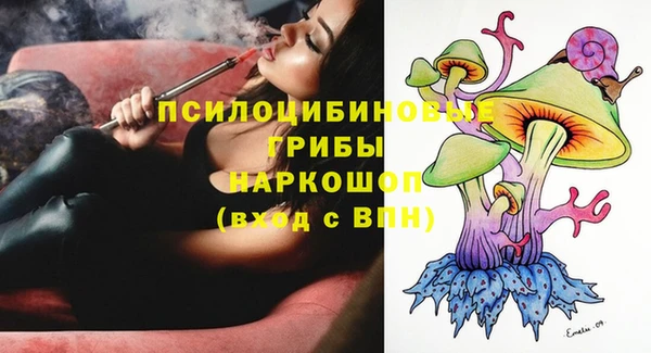 гидра Алексеевка