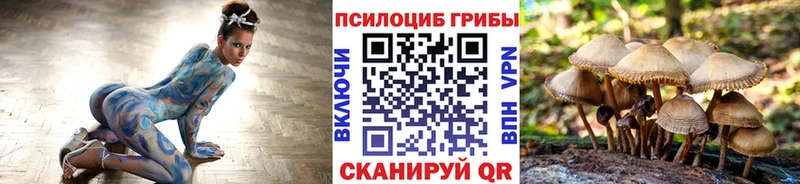 даркнет сайт  Далматово  Галлюциногенные грибы Psilocybe 